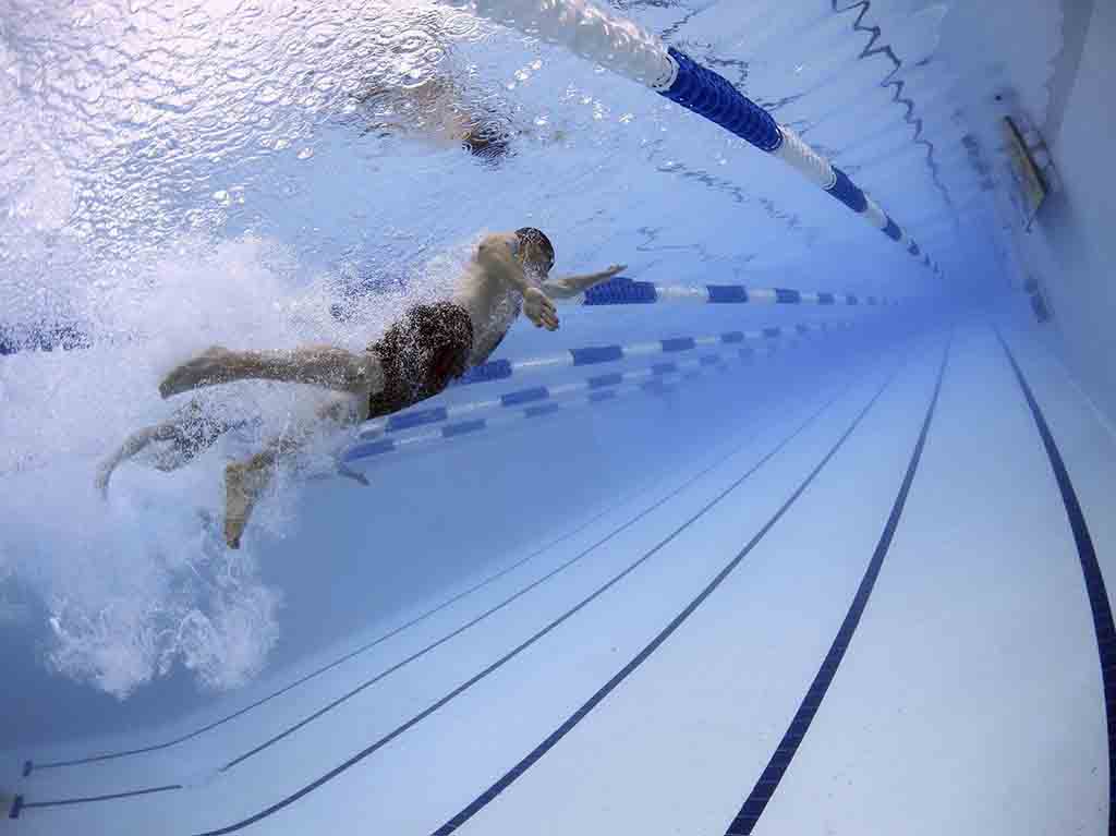 Acuática Agua Viva: clases de natación para niños y adultos en CDMX