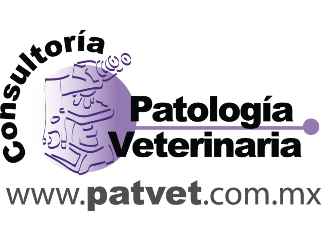 Patvet: Especialistas en patología anatómica veterinaria